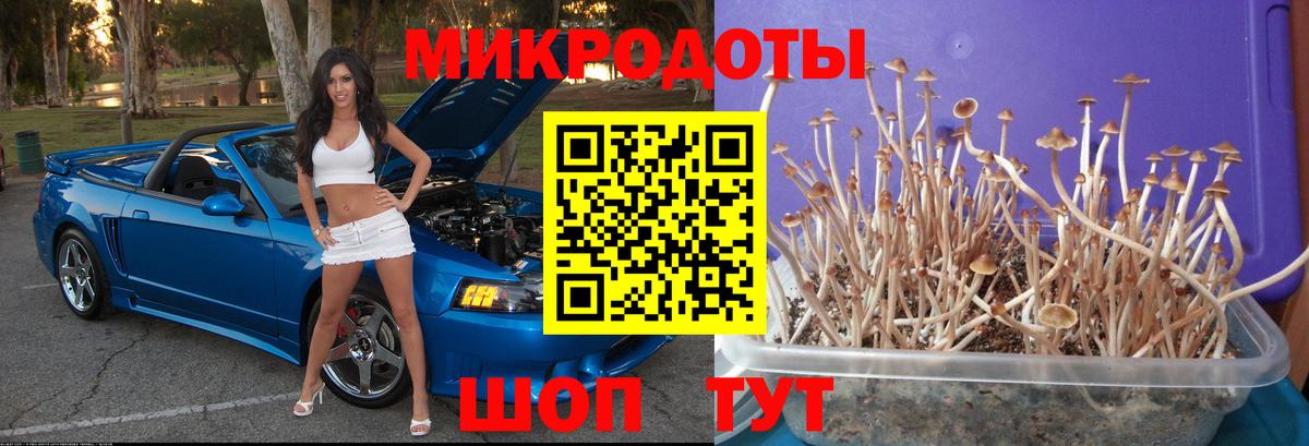 Галлюциногенные грибы ЛСД Южно-Сахалинск